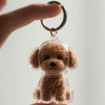 CZTICLE® Dog Hair Collector Keychain Charm Memorial Storage Box D01