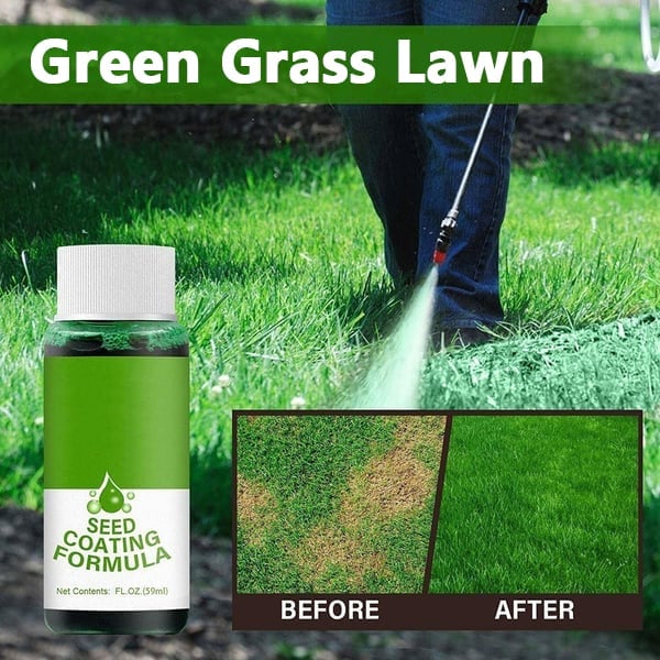 CiliferĀ®š„š„GreenRevive HydroSeeding Lawn Solution D01