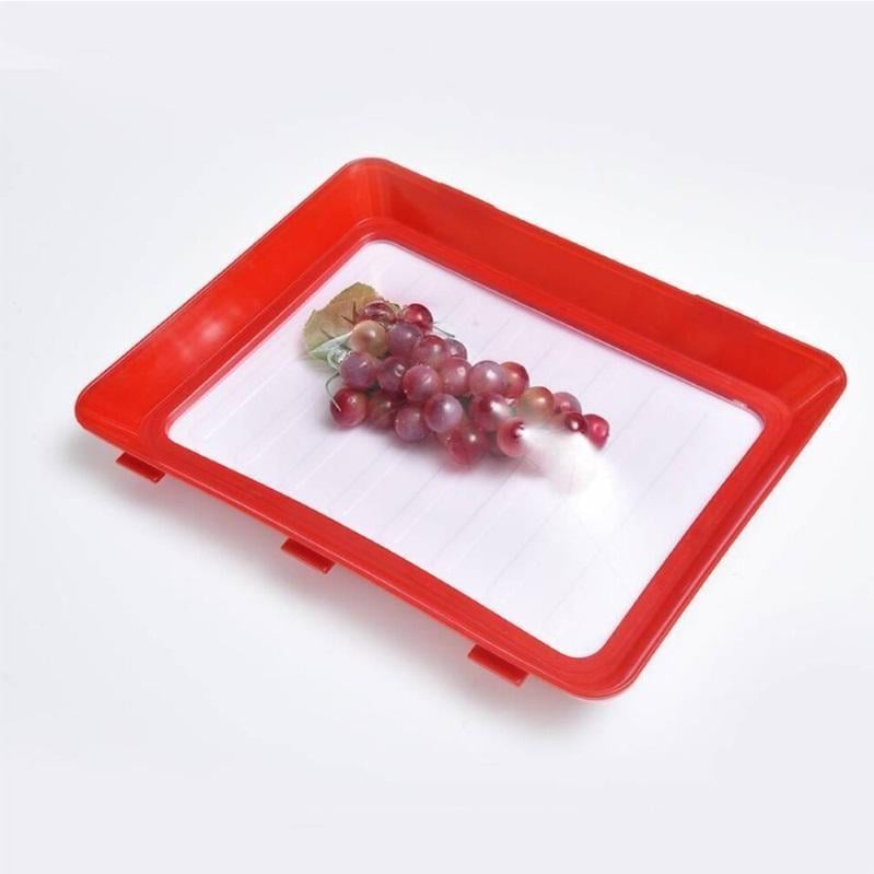 Cilifer® 🔥Environmentally Friendly Design - Reusable Food Preserving Tray🥰 D02