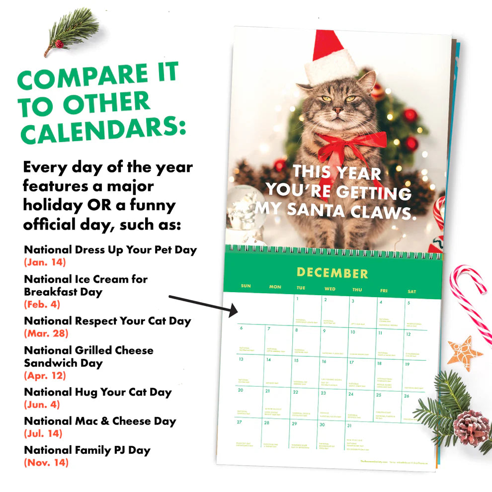 Cilifer®🔥2026 Pissed-off Cats Calendar D01
