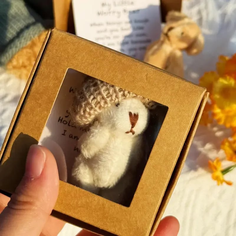 Cilifer® 🔥🎁Handmade Mini Plush Teddy Bear in Box D01