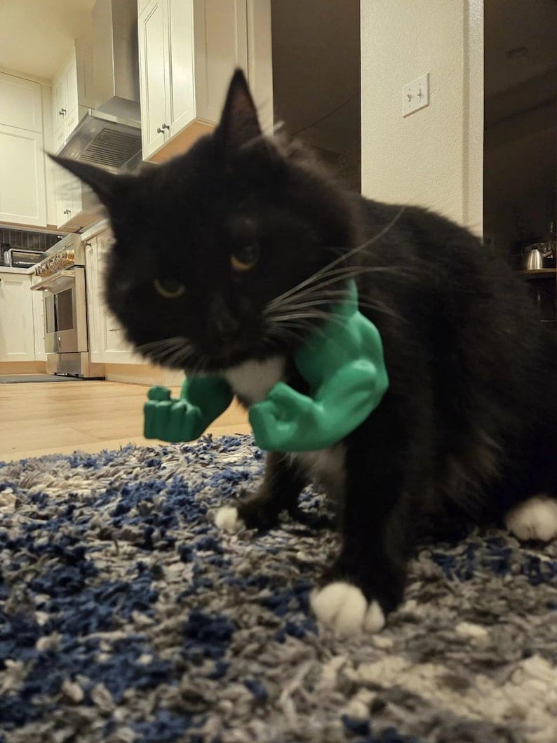 Cilifer® 🔥 Creative Pets Green Giant arm💪  D02