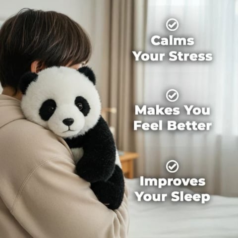 🎁Last Day Promotion 49% OFF - THE PANDY - Emotional Healing on Demand D01