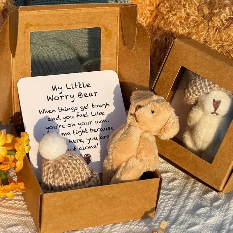 Cilifer® 🔥🎁Handmade Mini Plush Teddy Bear in Box D01