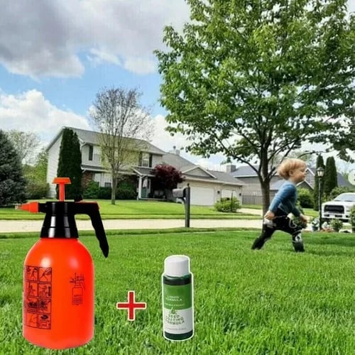 CiliferĀ®š„š„GreenRevive HydroSeeding Lawn Solution D01