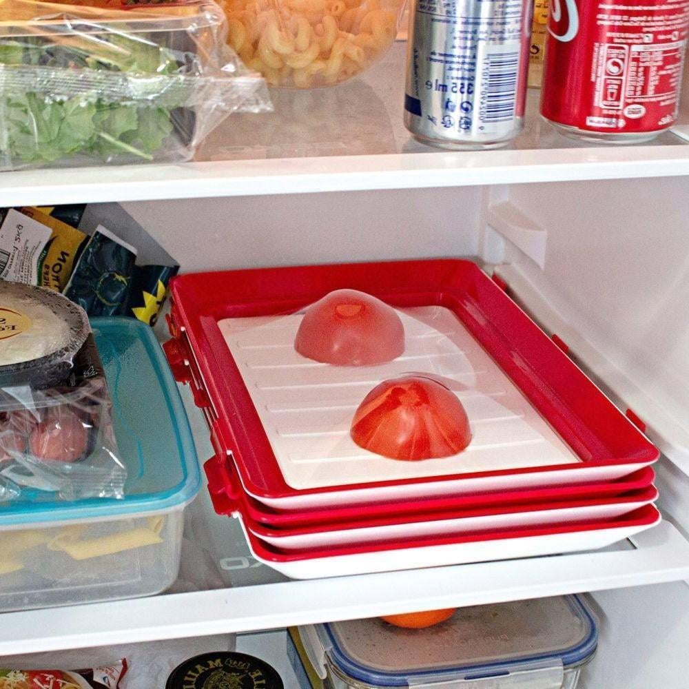 Cilifer® 🔥Environmentally Friendly Design - Reusable Food Preserving Tray🥰 D02