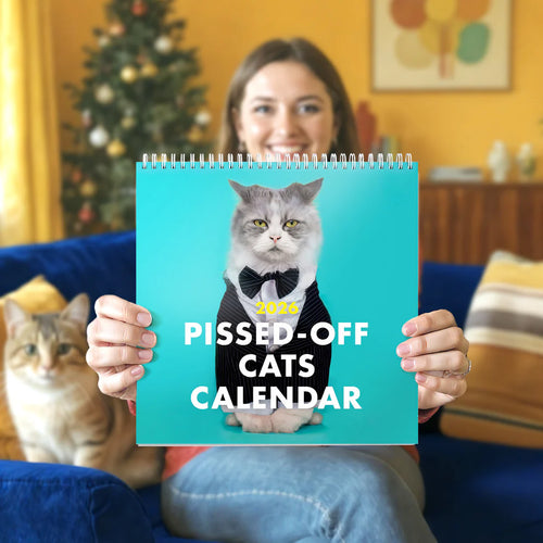 Cilifer®🔥2026 Pissed-off Cats Calendar D01