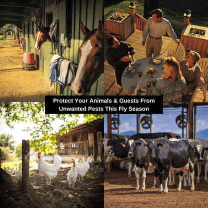 Cilifer®🔥Last Day 50% OFF✨The Fly Hunter - Giant Hanging Bag Trap - Effortless Fly Control D03