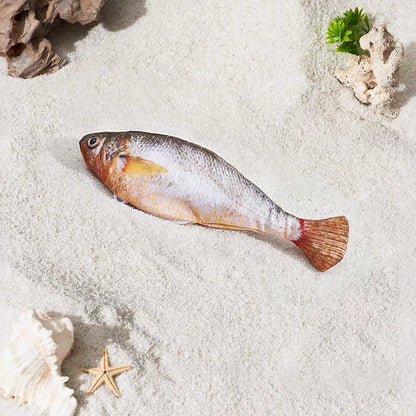 Cilifer®🔥 Petgravity Bitesized Realistic Flopping Fish Cat Toys D01